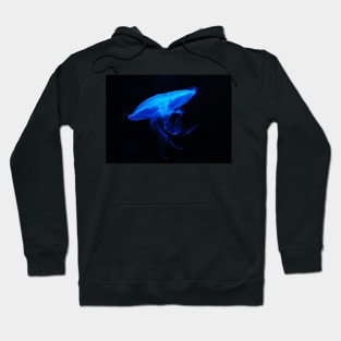 JELLYFISH LOOKS LIKE A UFO DESIGN Hoodie